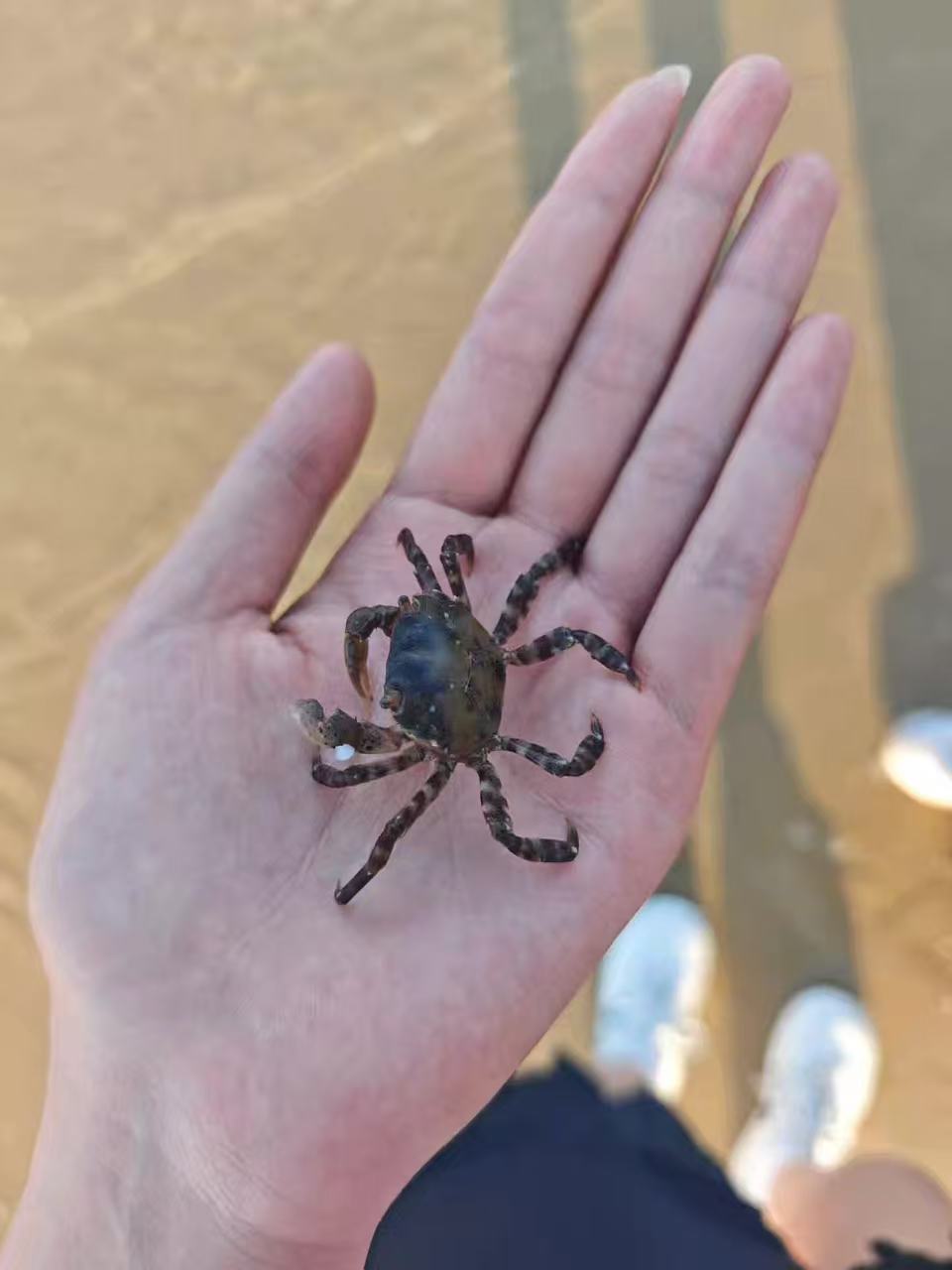 随拍